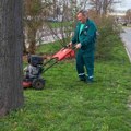 Kosci na bulevarima : Počela akcija košenja trave u Novom Sadu