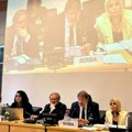 Žigmanov: Pružili smo Komitetu UN dodatne informacije o merama Srbije