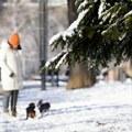 Srbiju čeka najhladnija zima u poslednjih 10 godina: Evo kad će pasti prvi sneg i kada kreću temperature od -10 stepeni