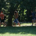 Inicijativa „Košutnjak ostaje“: Nećemo dozvoliti pustošenje zelenila