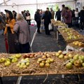 Voće koje ima miris i ukus: Izložba starih sorti u Botaničkoj bašti "Jevremovac" (foto)