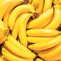 Hoće li nam banane postati nedostižan luksuz? Svet koristi samo jednu vrstu, a postoji 1.000 drugih: Stručnjaci upozoravaju…