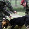 Građani traže udomljavanje: Vojska u Nišu prodaje službene pse po ceni od 500 dinara