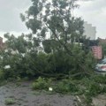 Nevreme uništilo Čačak! Drveće pada po ulicama, auto oštećen, tragedija izbegnuta (foto)