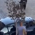 Krenuo ka autu pa doživeo šok života - zbog scene koja je usledila ljudi gledaju snimak na ivici stolice (video)