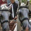 Fijakerom na večernji korzo: Na severu Banata i ovog leta nastavljena lepa tradicija. U razgledanju Kikinde iz kočije uživaju…