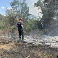 Veliki požar kod Zaječara, u gašenju učestvuju i vatrogasci iz Kragujevca