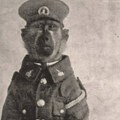 Nesvakidašnja priča iz Prvog svetskog rata Majmun spasao život vojnicima, pa dobio čin pukovnika!
