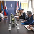 Đurić sa slovačkim ambasadorom: Ministar zahvalio Slovačkoj za podršku koju pruža Srbiji na njenom evropskom putu…