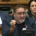 "Kako te nije sramota, bedo ljudska!" Dejan Bulatović brutalno odgovorio Đilasu u Skupštini: On priča o Vučiću, a ukrao…