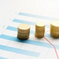 Bruto devizne rezerve na 27,7 milijardi evra, od početka godine NBS prodala 910 miliona evra