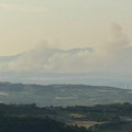 Stravičan požar kod Niša: Sivi dim se nadvio nad nebom, vatra guta sve pred sobom
