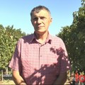 Данко наставио породичну традицију, принос и квалитет грожђа ове сезоне изнад очекивања (ФОТО, ВИДЕО)