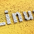 Francuska prelazi na Linux, a prilika se otvara za usluge