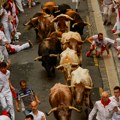 Više hiljada ljudi u trci sa bikovima ulicama Pamplone