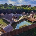 Adrenalin park, stena i zip-lajn: Keltsko naselje kod Inđije otvorilo kapije za posetioce