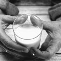 Proizvođači mleka: Mlekare smanjile otkupnu cenu i do 16 dinara, prvo će propasti mala gazdinstva