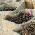 Kako namirisati obmanu - kafa sa ukusom soje, graška i žira