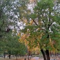 Збогом лету, стиже јесен: Почиње тачно овог датума и у оволико сати