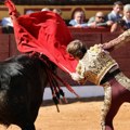 Teško povređen toreador prilikom borbe sa bikovima u Sevilji