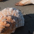 Horoskop za 7. avgust 2026: Za ove znakove nije dan za impulsivne poteze