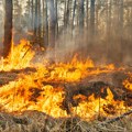 Požar kod Pirota, buktinja se širi kilometrima: Vatrena stihija na nepristupačnom terenu, vatrogasci izdali apel