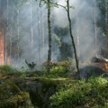 Šumski požar u Turskoj: Vatra na vozilu zapalila šume