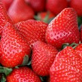 Festival jagodastog voća u petak i subotu, očekuje se 70 izlagača