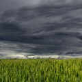 Nestabilno i osetno svežije vreme