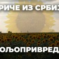 Приче из Србије: Млади се окрећу селу, боље живе од пољопривреде него од рада у Немачкој