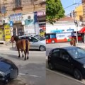 Konji poželeli gradsku šetnju – u centru Niša nakratko zaustavili saobraćaj i zbunili vozače