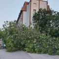 Prijava štete na teritoriji Novog Sada nakon elementarne nepogode