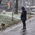 Nestabilno i vetrovito vreme u Srbiji: Temperature između pet i 10°C