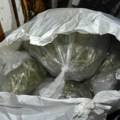U Beogradu zaplenjeno 38 kg marihuane, uhapšen muškarac