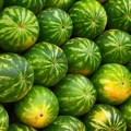Zaboravite na kucanje: Tri sigurnija načina da izaberete najslađu lubenicu