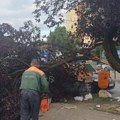 JKP Šumadija nastavlja raščišćavanje posle nevremena