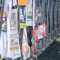 Najlepša mlada lasta Užica! Bez straha Aleksa Petrović (13) je skočio sa starog železničkog mosta i skokom oduševio Srbiju…