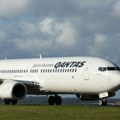 Let iz Rima otkazan zbog pojave odvratnih insekata u avionu! Ceo svet se zgadio kada je video fotografiju.
