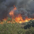 Strašni požari bukte na Siciliji: Dve osobe poginule, 700 turista evakuisano (video, foto)