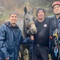 Upao u provaliju duboku 6 metara, smrti gledao u oči: Hrabri vatrogasci spasili konja iz jame