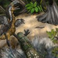 Praistorijska borba predatora: Ko je ubio 'pticu-teror'
