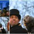 Mrmot izneo prognozu: Da li je Fil video svoju senku ili ne? Evo koliko će trajati zima (foto/video)