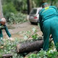 Posledice nevremena u Beogradu: "Zelenilo" intervenisalo na 21 lokaciji
