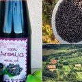 Tate Novosađani prikupljaju novac za Dečju bolnicu: Kupite aroniju i pomozite najmlađima