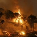 Dve osobe uhapšene zbog podmetanja požara u Grčkoj