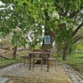 U šumadijskom selu i dalje postoji „drvo zapis“: Kultno mesto koje štiti od nevremena i nesreće, a sveti krst urezuje se…