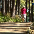 Na skriveno te vodim mesto: Park Borići u Užicu – hladovina i opojni miris borova