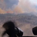 Borba sa vatrenom stihijom u Deliblatskoj peščari, na Stolovima gori nisko rastinje
