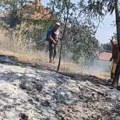 Požari kod Leskovca zahvatili voćnjake i nisko rastinje, vatrogasci i meštani gase vatru
