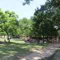 Humanitarni ponedeljak na Štrandu za bebu Teodoru Smiljanić